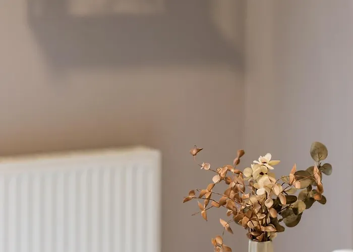 Urban Elegance By Nest *